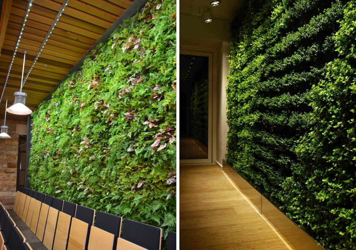zeleni-zid-paneli-green-centar-9