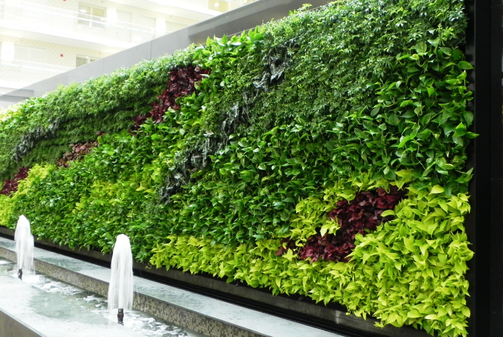 zeleni-zid-vertikalni-vrt-zelena-fasada-green-centar