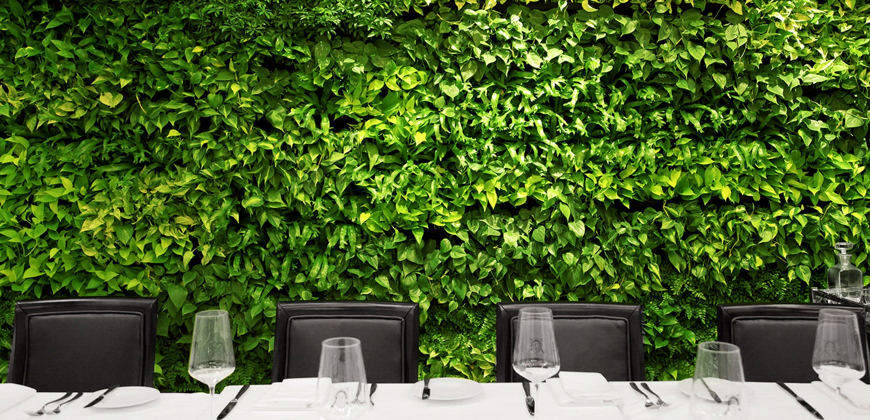 zeleni-zid-vertikalni-vrt-zelena-fasada