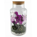 Cvetni aranžman orhideja