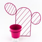 Kaktus kantica 846235