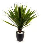 Veštačko cveće - agava