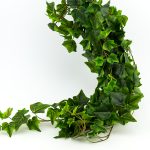 Veštačka puzavica green