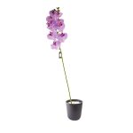Veštačka orhideja