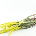 Veštačka dekoracija