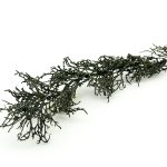 Veštačka dekoracija