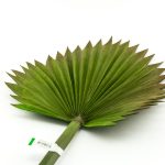 Veštački palmin list