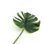 Vestacki Monstera list M