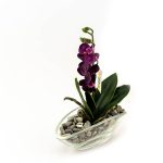 Cvetni aranžman orhideja