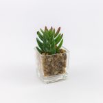 Veštačko cveće u saksiji 784673