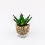 Veštačko cveće u saksiji 784673