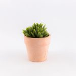 Veštačko cveće u saksiji 750737