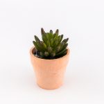 Veštačko cveće u saksiji 750737