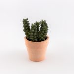 Veštačko cveće u saksiji 750737