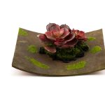 Cvetni aranžman - čuvarkuća