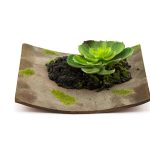 Cvetni aranžman - čuvarkuća