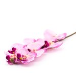 Veštačka orhideja