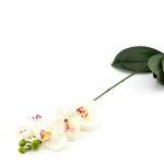 Veštačka orhideja