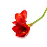 Veštačko cveće 421474