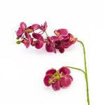 Veštačka orhideja
