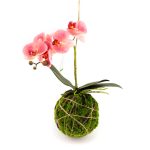 Veštačka orhideja