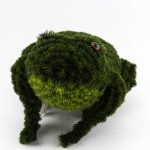 Žaba od veštačke trave