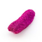 Suva dekoracija - lufa