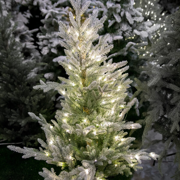 671589 Novogodišnja jelka