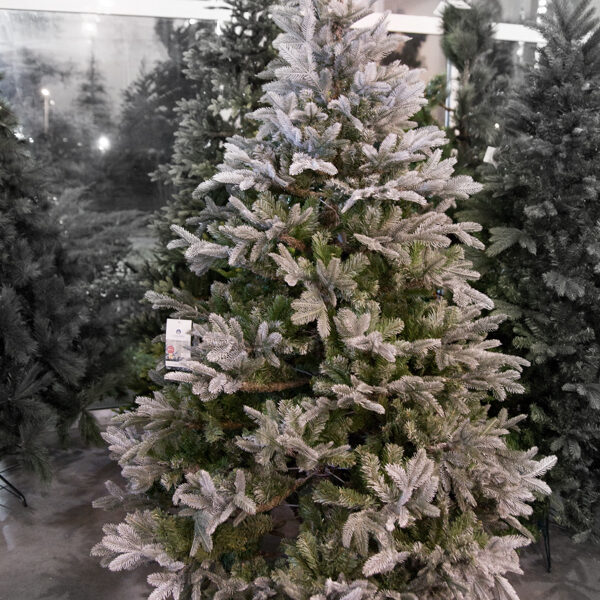 Jelka Frosted Mountain Spruce