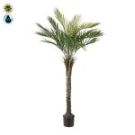 Veštačko drvo Palma 150 cm