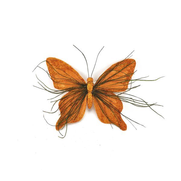 Leptir