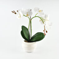 Veštačka orhideja