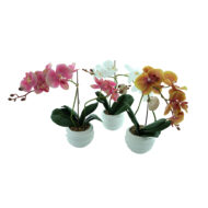 Veštačka orhideja - Slika 2