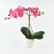 Veštačka orhideja