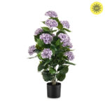 Veštačka hortenzija