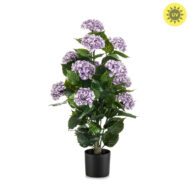 Veštačka hortenzija