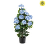 Veštačka hortenzija