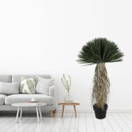 Veštačko drvo 170 cm - Slika 3