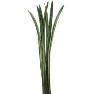 Veštačko cveće - Slika 2