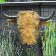 Figura bizon - Slika 2