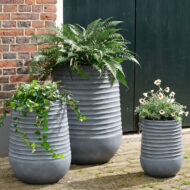 Žardinjera - Slika 2