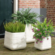 Žardinjera - Slika 2